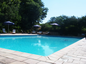 The pool