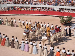 Arles