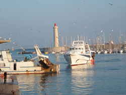 Return of the fishing boats, Sete