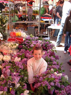 Flower Market